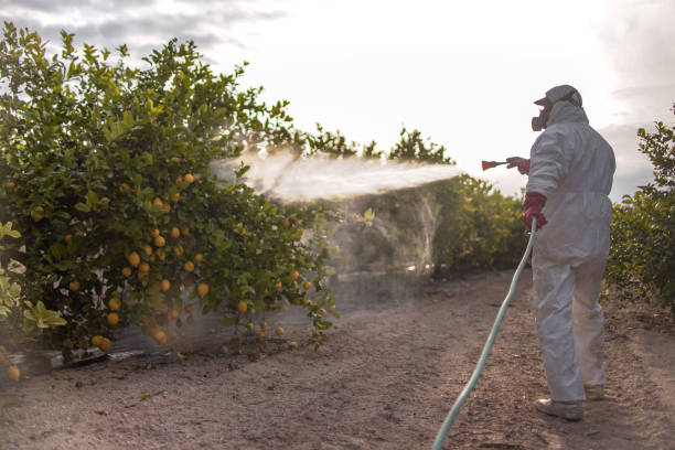 Professional Pest Control in Reynolds Heights, PA