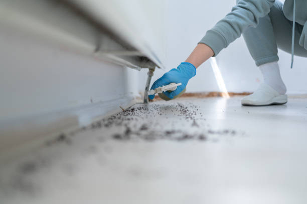 Wildlife Control Services in Reynolds Heights, PA